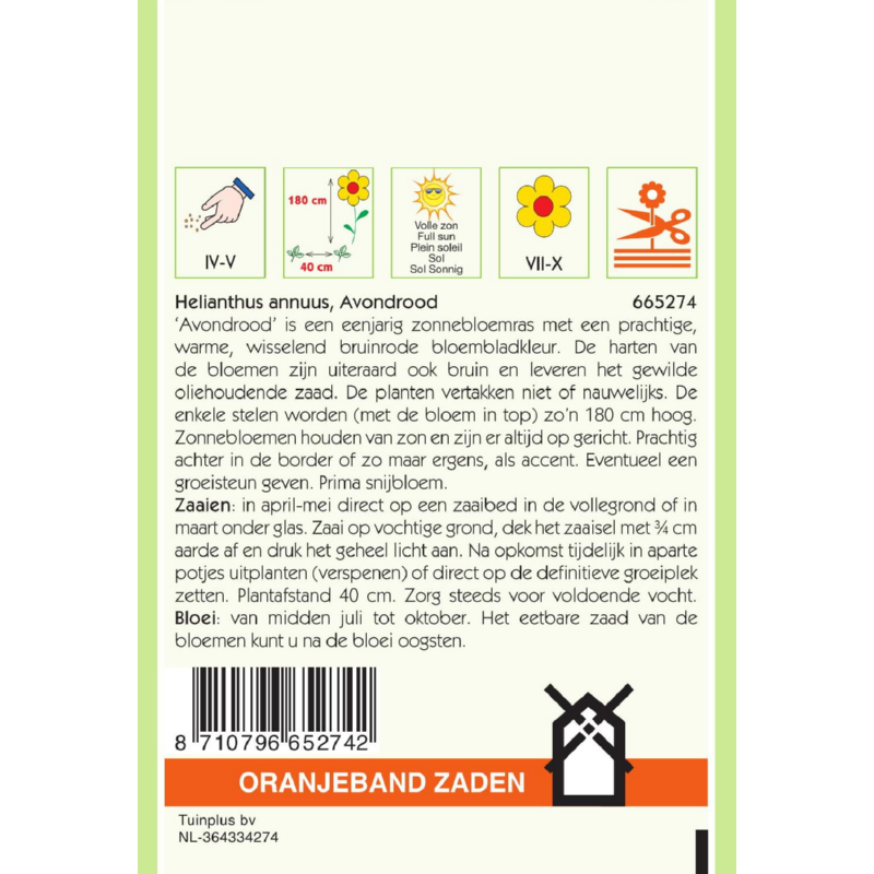OBZ Helianthus, Zonnebloem Avondrood