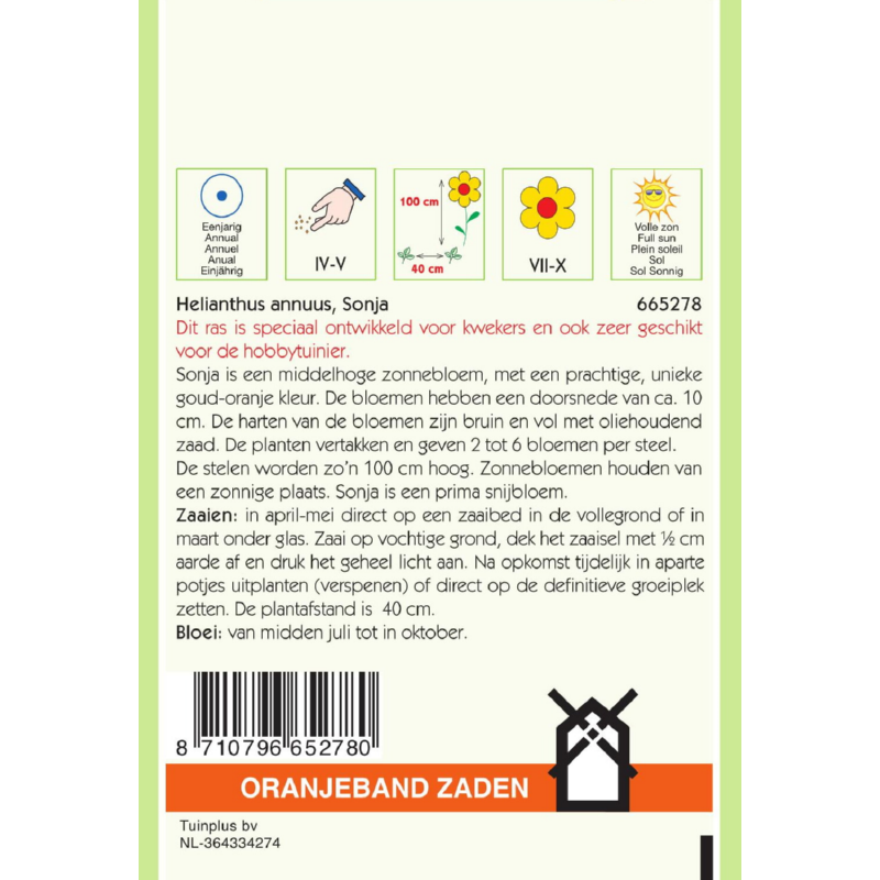 OBZ Helianthus, Zonnebloem Sonja