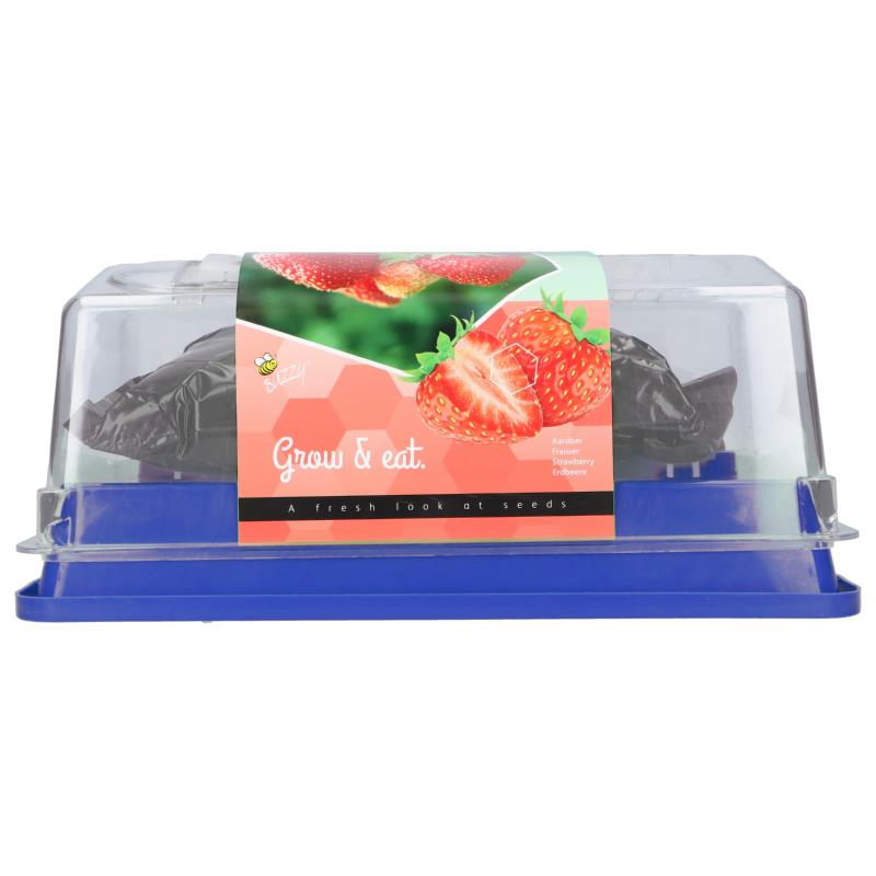 Buzzy® Greenhouse Homegrown Aardbei
