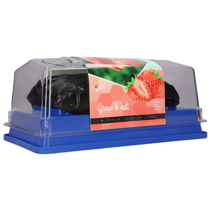 Buzzy® Mini-serre Fraisiers