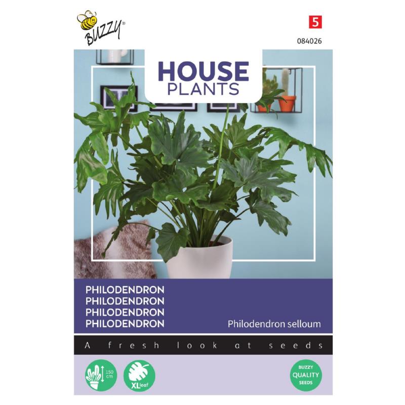 Buzzy® House Plants Philodendron selloum