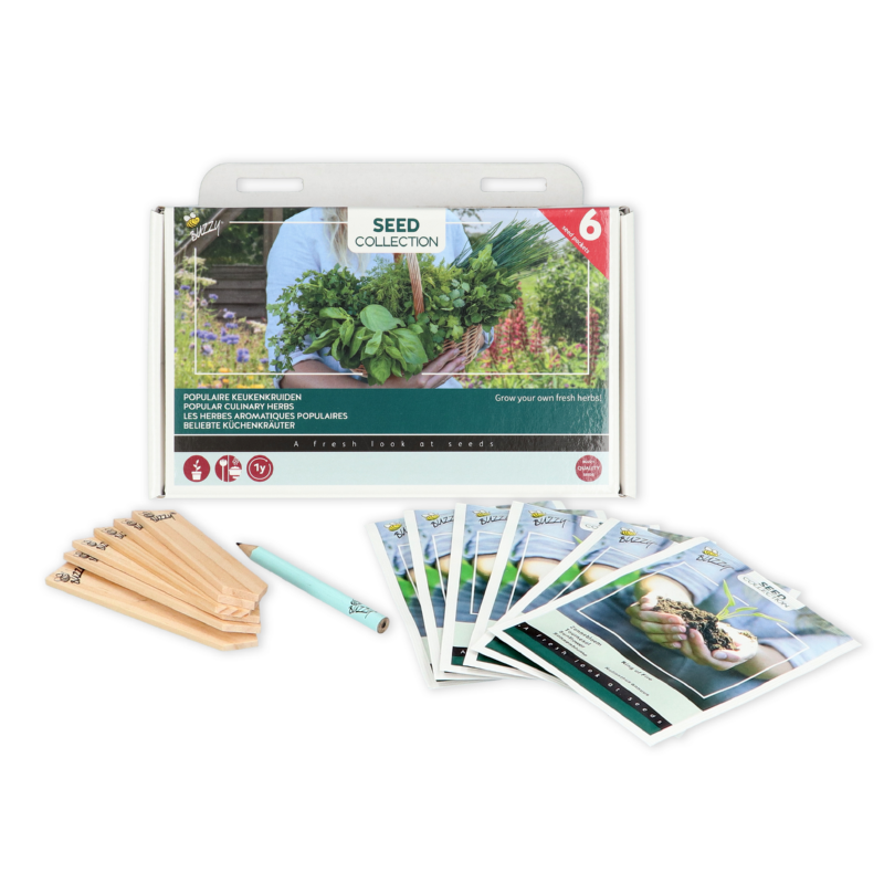 Buzzy® Collection 6 Keukenkruiden