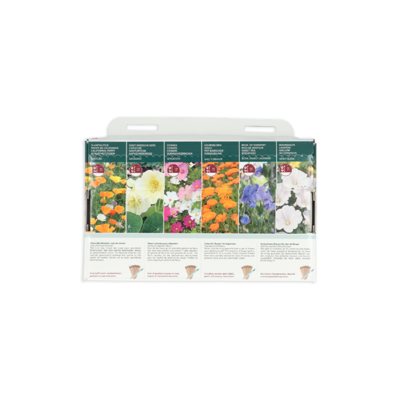 Buzzy® Collection 6 Kleurrijke bloemen voor de starter