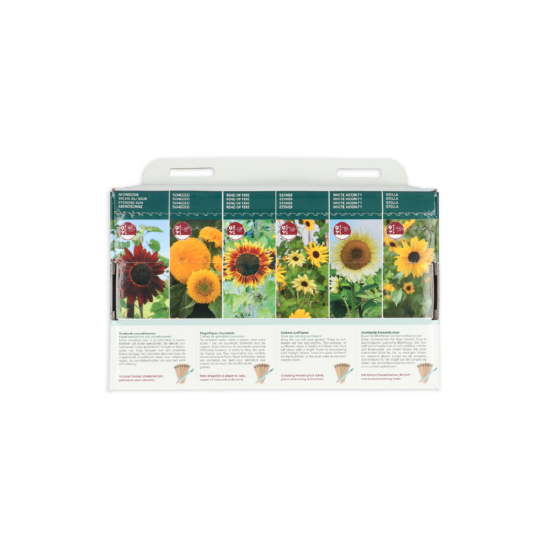 Buzzy® Collection 6 Stralende zonnebloemen