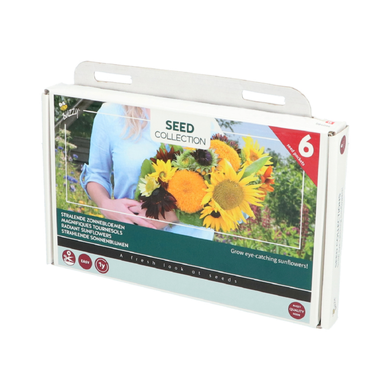 Buzzy® Collection 6 Stralende zonnebloemen