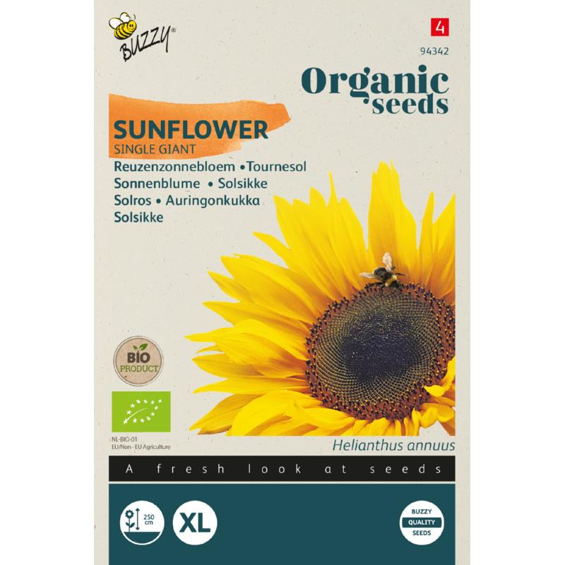 Buzzy® Organic Helianthus, Reuzenzonnebloem giganteus  (BIO)