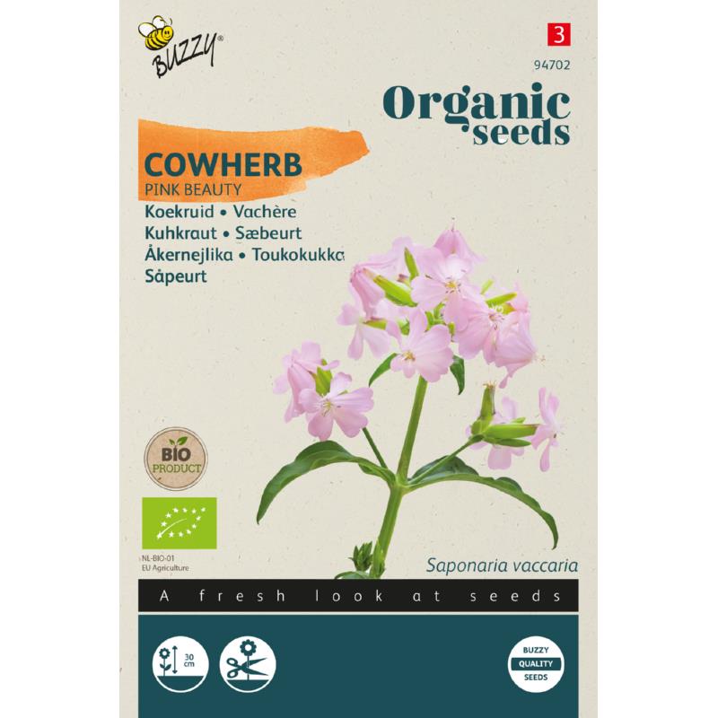 Buzzy® Organic Saponaria, Koekruid Pink Beauty (BIO)