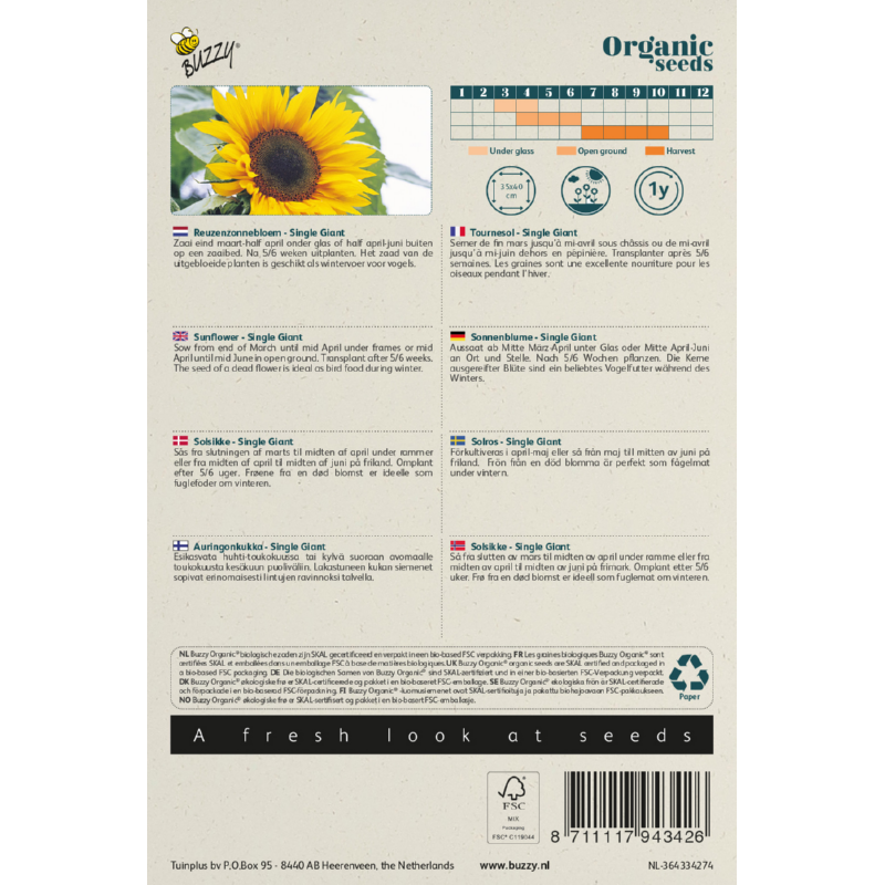 Buzzy® Organic Helianthus, Reuzenzonnebloem giganteus  (BIO)