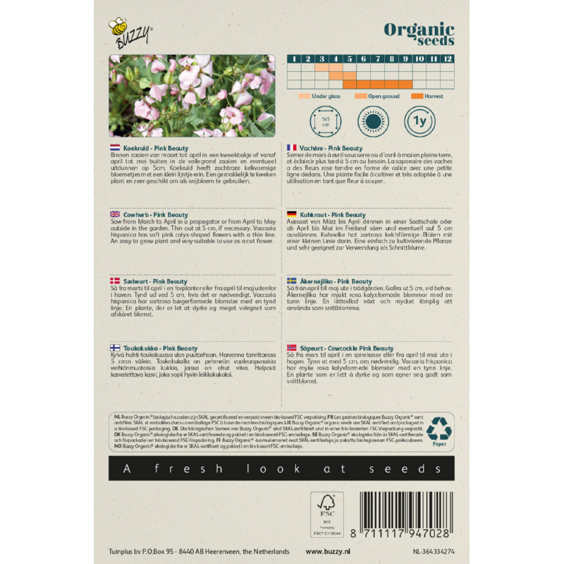 Buzzy® Organic Saponaria, Koekruid Pink Beauty (BIO)