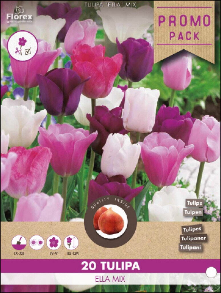 Grootverpakking Tulp Ella mix 11/12 20st.