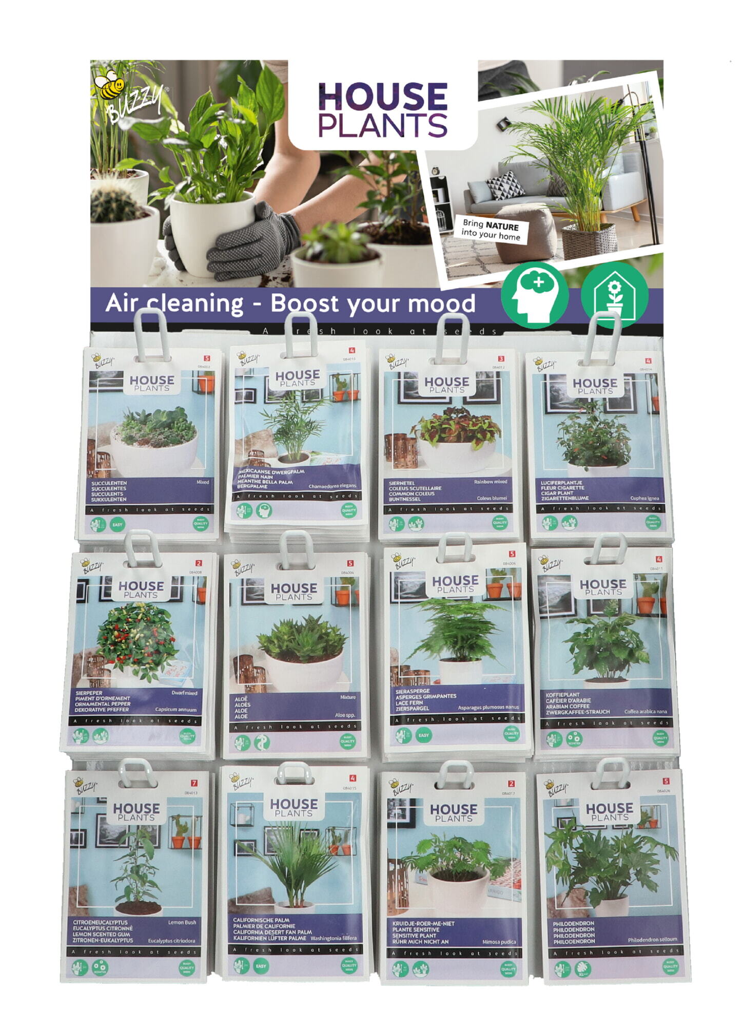 Buzzy® Display House Plants 12x10